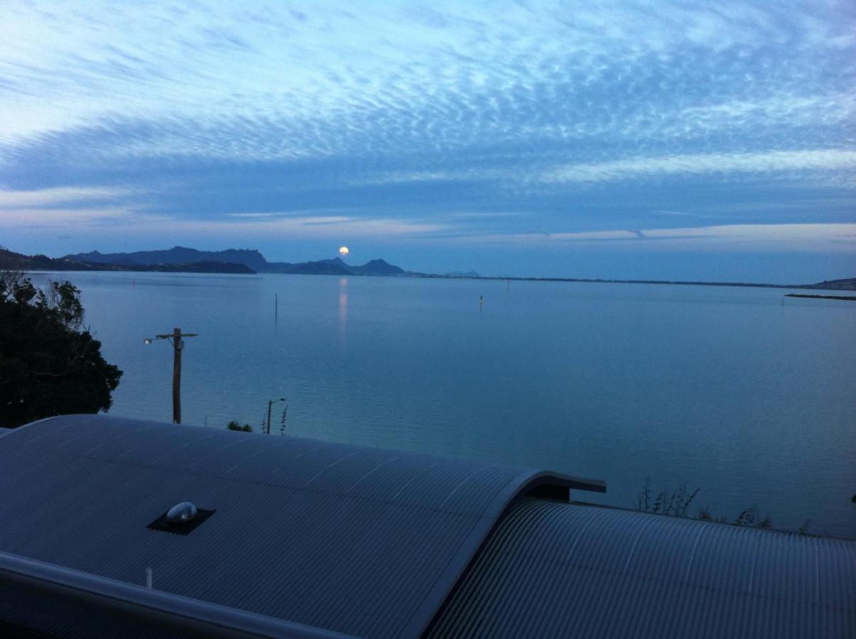 Mason Lane Apartment Whangarei Rom bilde